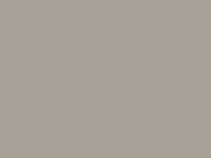Gray quartzite 513